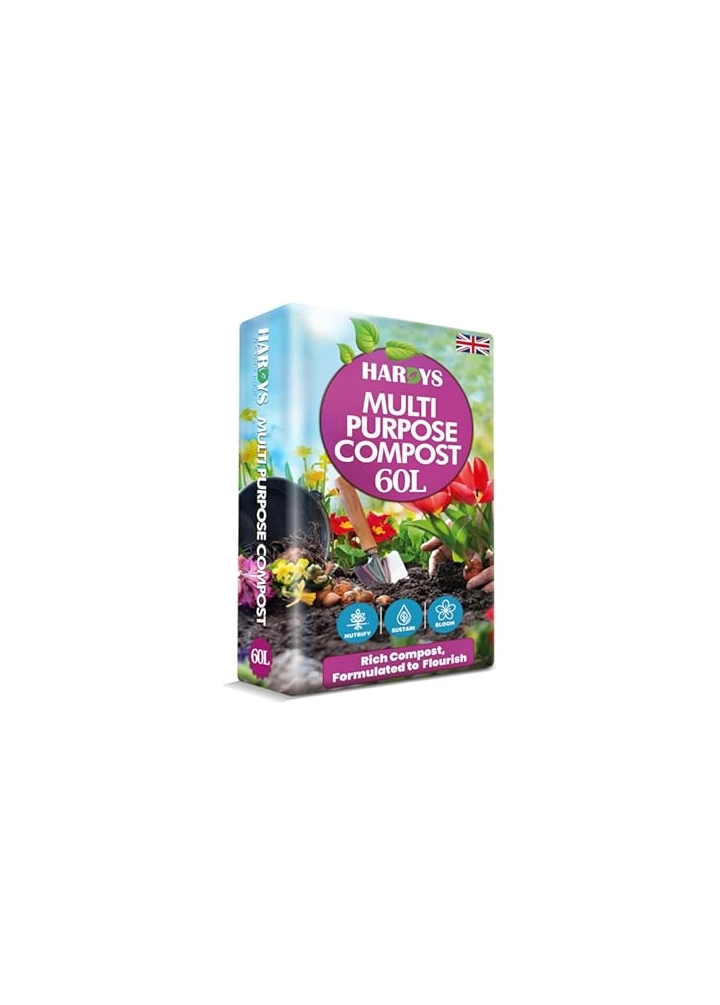 amazon best sellers