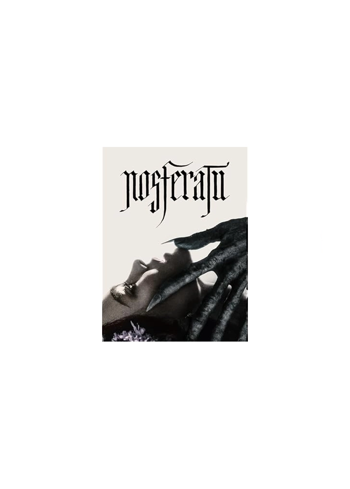 amazon best sellers