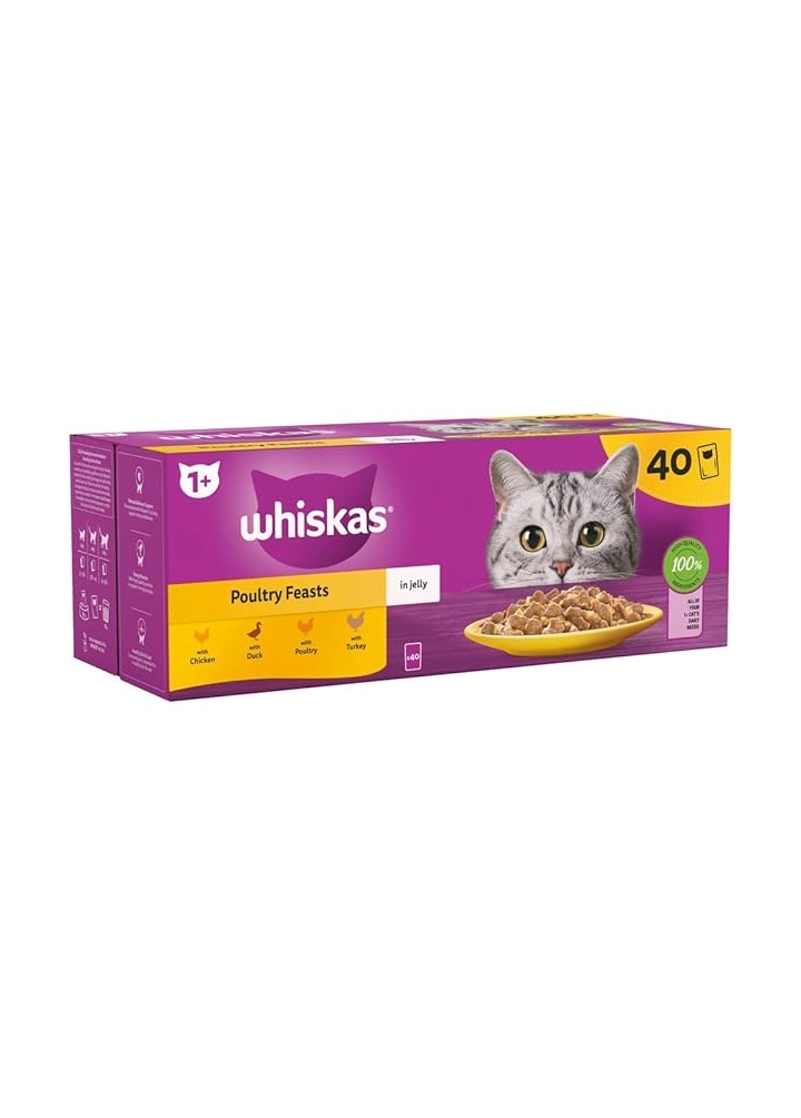 amazon best sellers